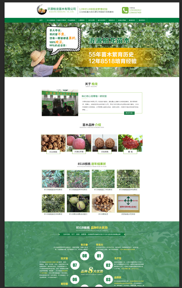 8518核桃苗_核桃苗批發(fā)價格_沂源紅蘋果樹苗_山東沂源柏龍苗木基地.png